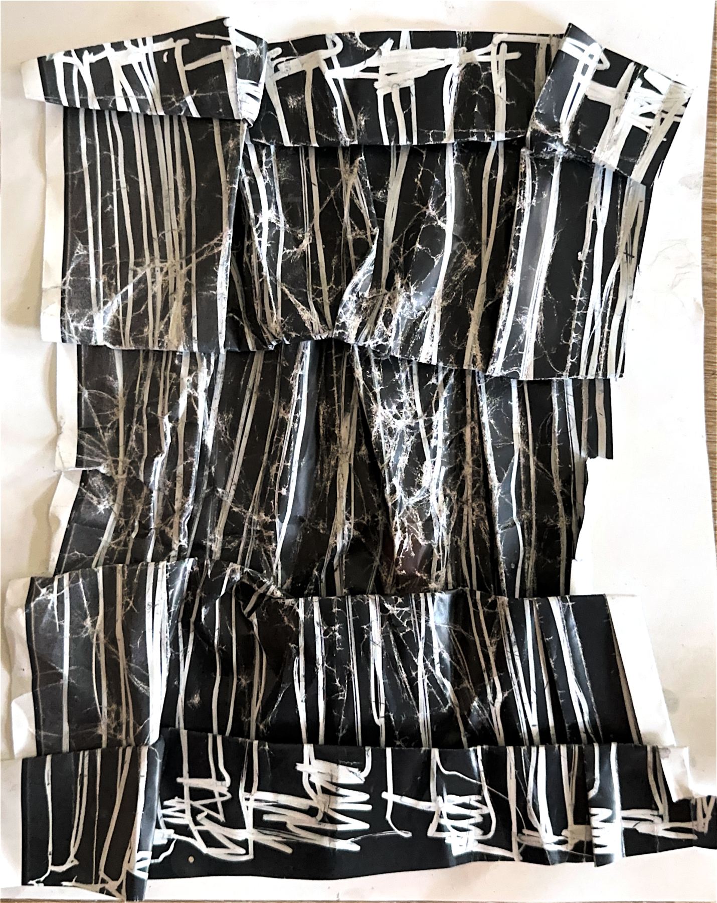 Black and white pleated textile study